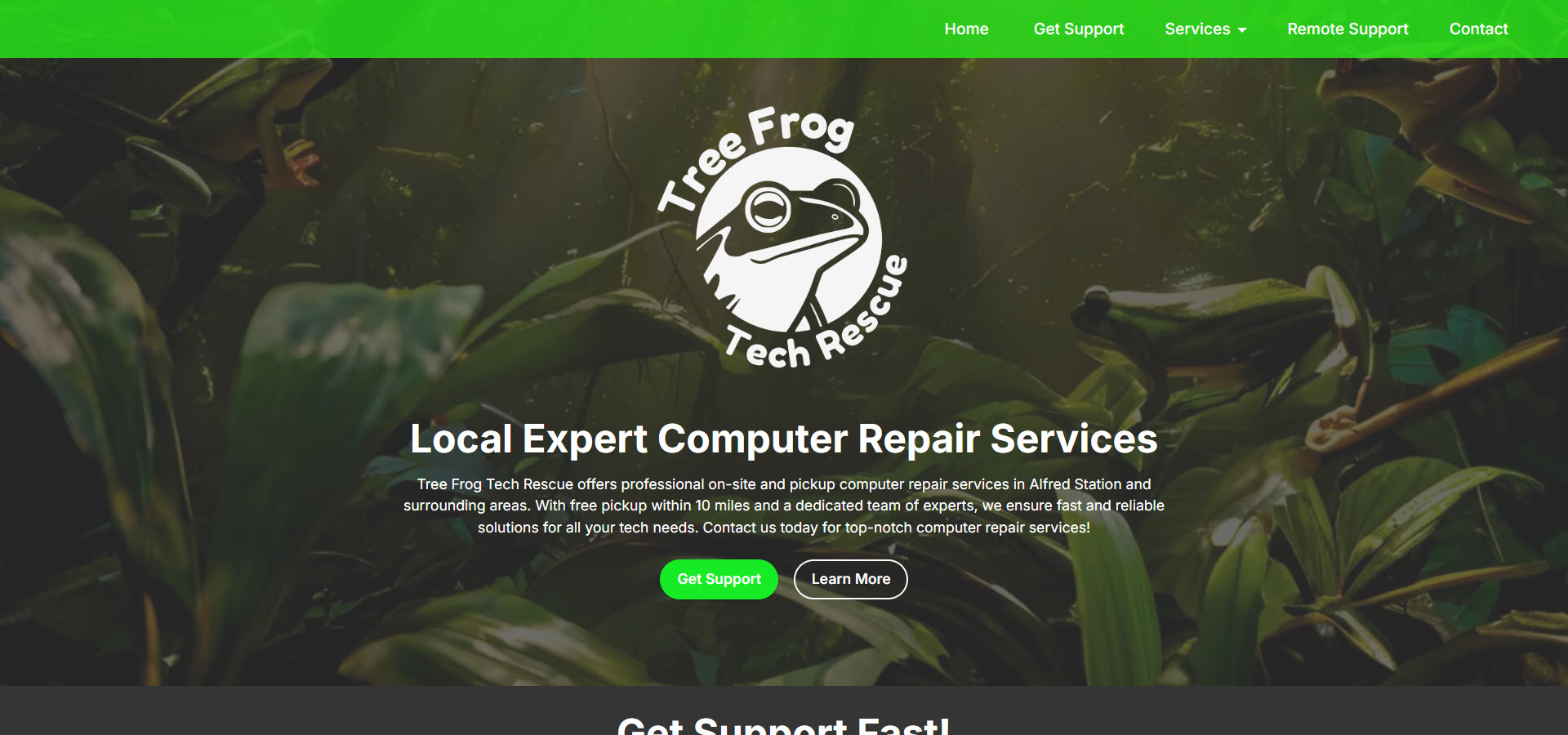 Screenshot of a computer repair website